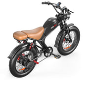 Single Drive 20 Inch, High Speed Electric Bike