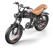 Single Drive 20 Inch, High Speed Electric Bike