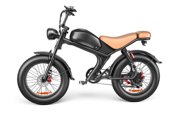 Single Drive 20 Inch, High Speed Electric Bike