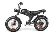 Single Drive 20 Inch, High Speed Electric Bike