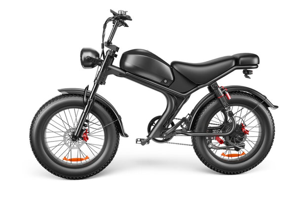 Single Drive 20 Inch, High Speed Electric Bike