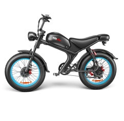 C93- Dual-drive High-speed Electric Bike