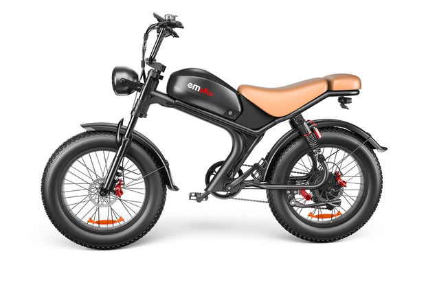 Single Drive 20 Inch, High Speed Electric Bike