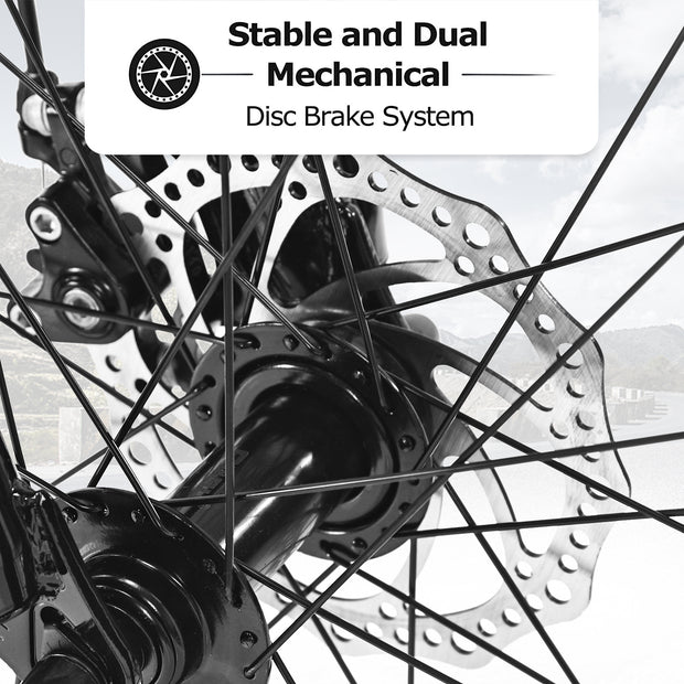 26 Inch Fat Tire Bike Adult-Youth Full Shimano 21 Speed Mountain Bike, Dual Disc Brake, High-Carbon Steel .