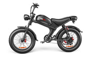 Single Drive 20 Inch, High Speed Electric Bike