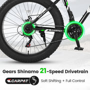 Bicycle S26109-BLACK-GREEN