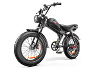 C93- Dual-drive High-speed Electric Bike